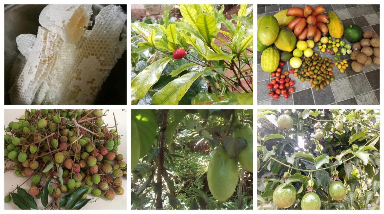 Anand Homestay Kattappana Esterno foto