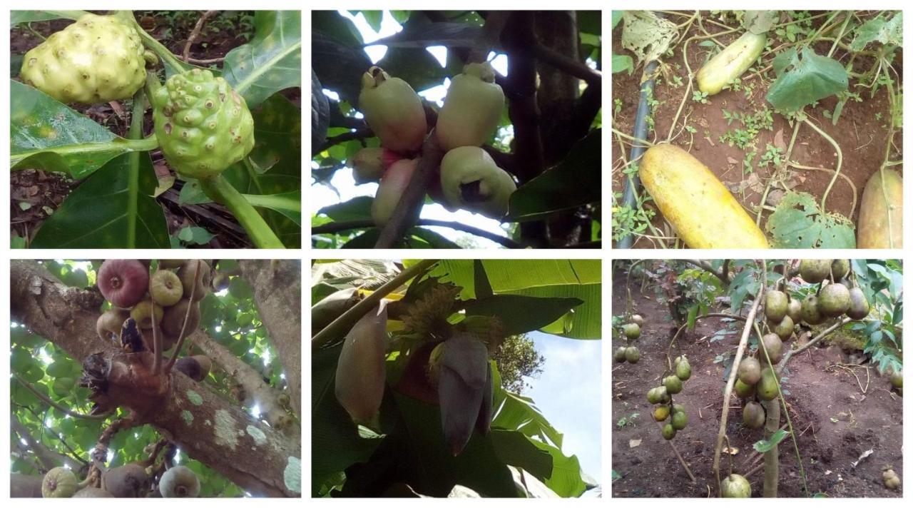 Anand Homestay Kattappana Esterno foto