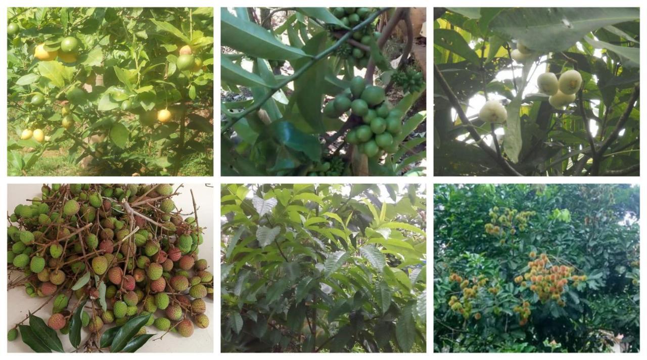 Anand Homestay Kattappana Esterno foto