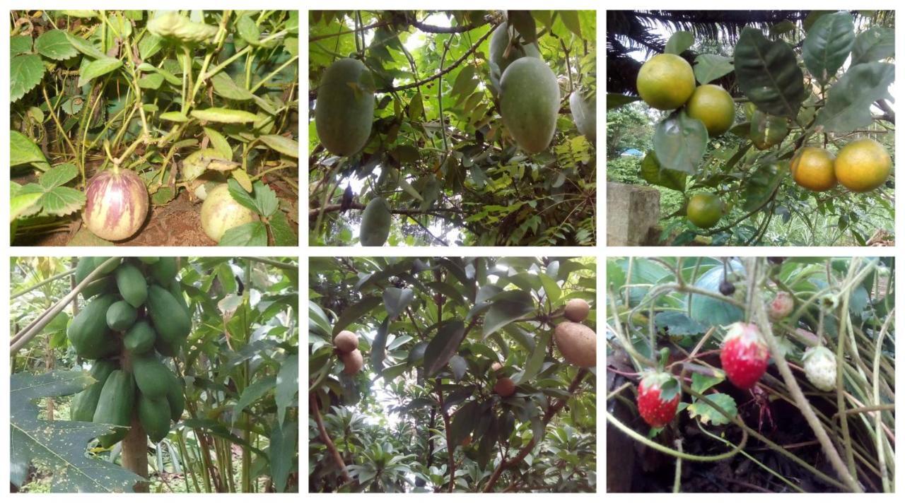 Anand Homestay Kattappana Esterno foto